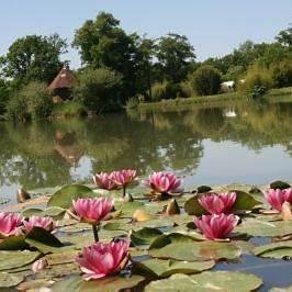 Étang avec nénuphars et passerelle asiatique dans le parc des Jardins du Loriot