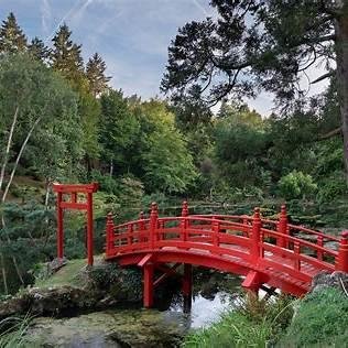 Pont en bois au style oriental entouré de plantes exotiques dans le parc des Jardins du Loriot