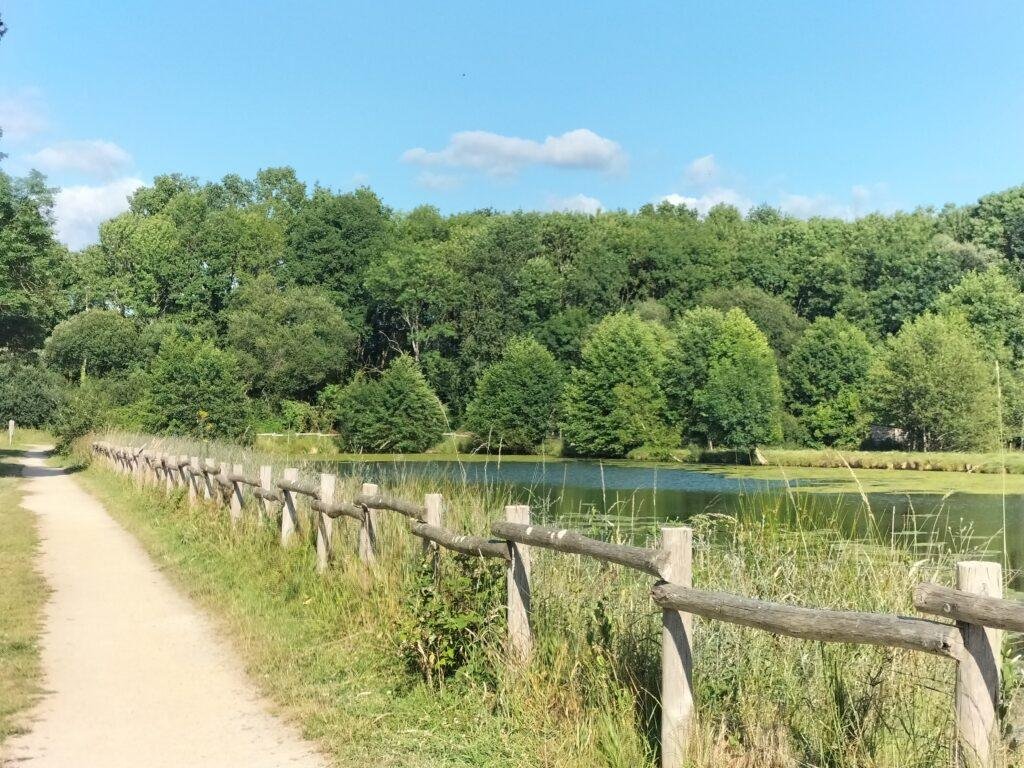 Chemin verdoyant et étang de Venansault en Vendée, représentant la tranquillité et l’authenticité des locations saisonnières vendéennes