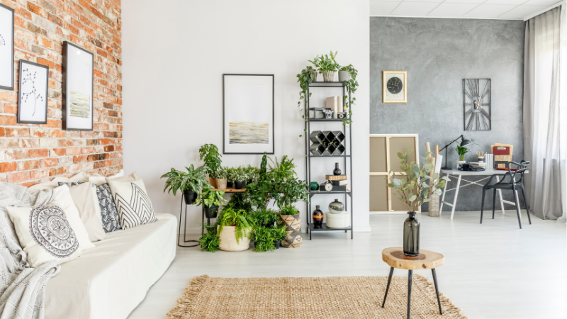 Salon moderne et végétalisé d’un logement en location courte durée à La Roche-sur-Yon, aménagé pour séduire les voyageurs et investisseurs